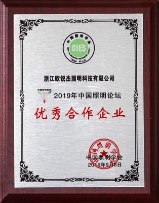 19年中國(guó)照明論壇優(yōu)秀合作企業(yè)